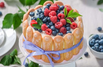 Looking for a no-bake dessert idea? Try Charlotte cake.