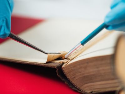 Gelatin Glue | A Natural Solution for Durable Bonds