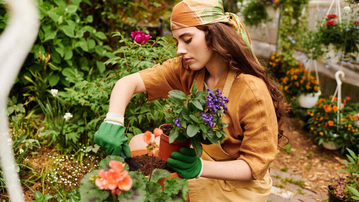 Gelatin Fertilizer – For Flowers and Beyond