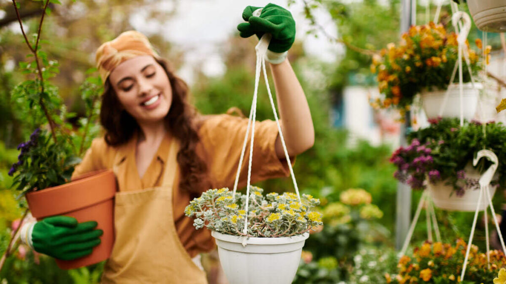 Watering plants with gelatin